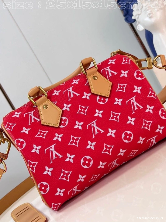 FS CHEAP 25 SPEEDY Louis Vuitton 0724